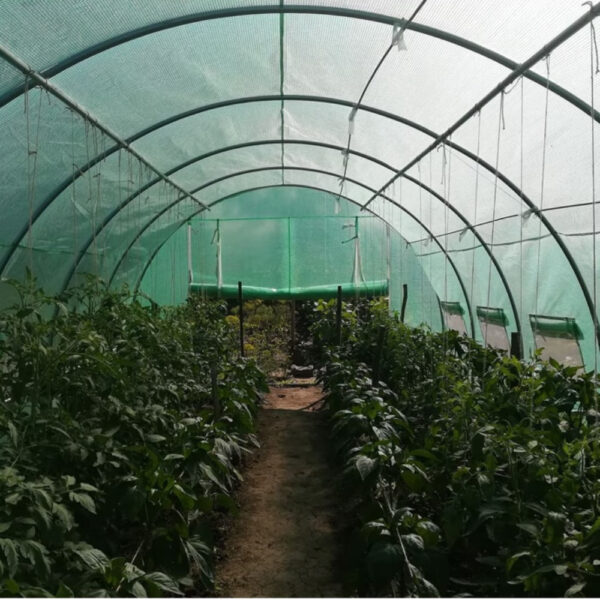 Solar de gradina profesional Eden 6 m ProUrban.ro solar de gradina