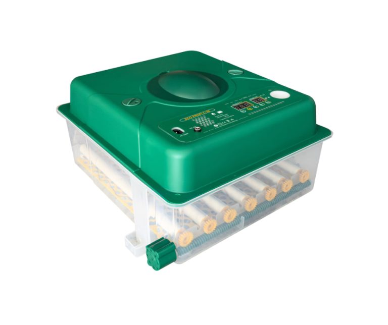incubator oua
