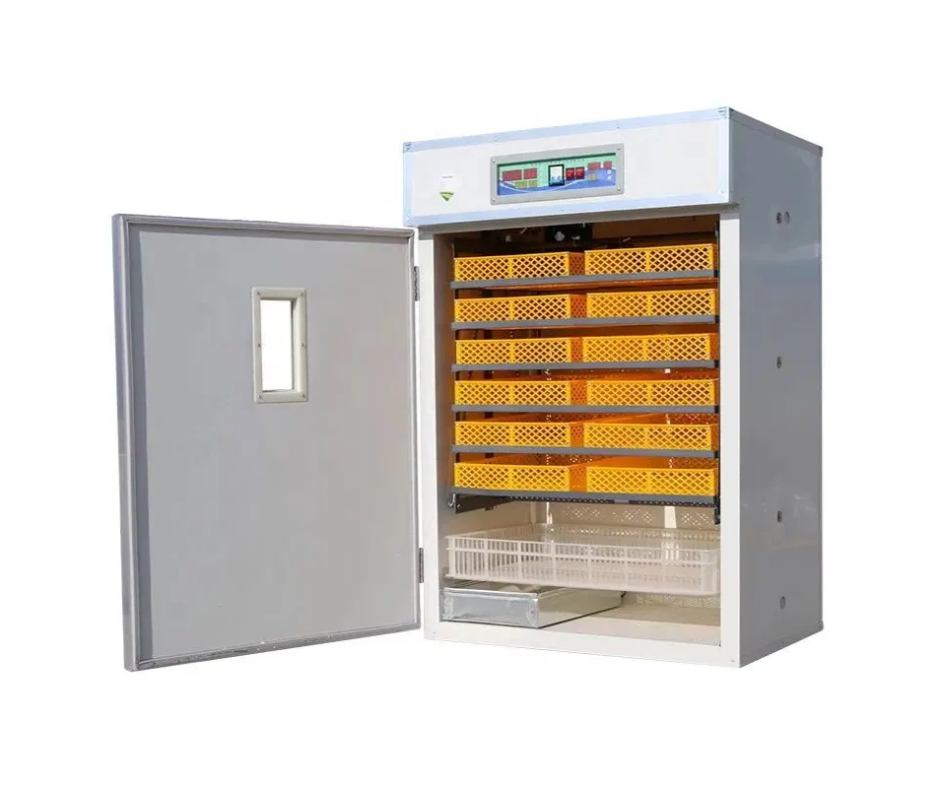 incubator oua