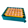 incubator oua