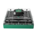 incubator oua