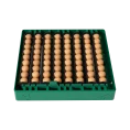 incubator oua