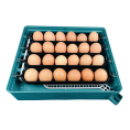 incubator oua