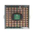 incubator oua