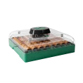 incubator oua