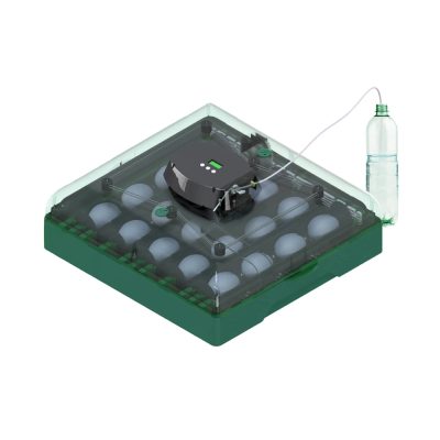 incubator oua