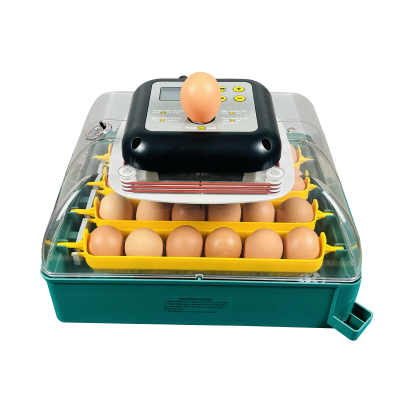 incubator oua