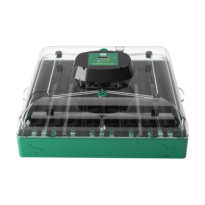 incubator oua