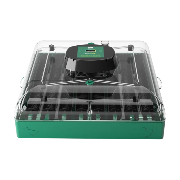 incubator oua